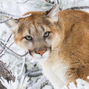 Meet your Posher, Joanna